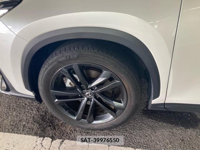 Lexus NX 2023-10 8438347-3