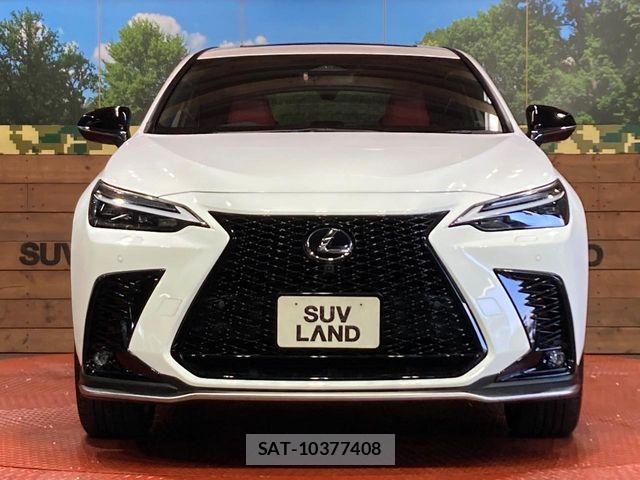 Lexus NX 2023-03 8457826-13