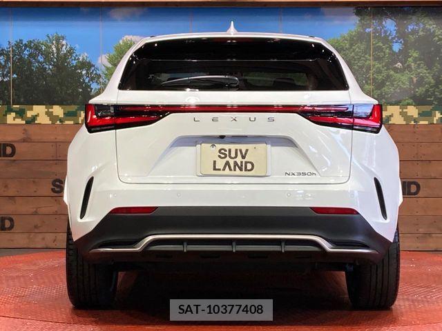 Lexus NX 2023-03 8457826-14