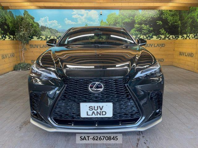 Lexus NX 2025-07 8457815-13