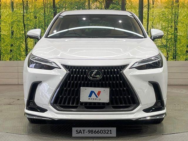 Lexus NX 2025-12 8457824-13
