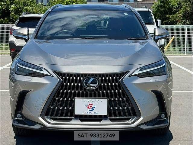 Lexus NX 2023-06 8485645-14