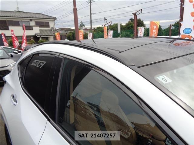 Lexus NX 2024-09 8525577-10