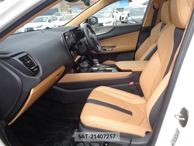 Lexus NX 2024-09 8525577-11