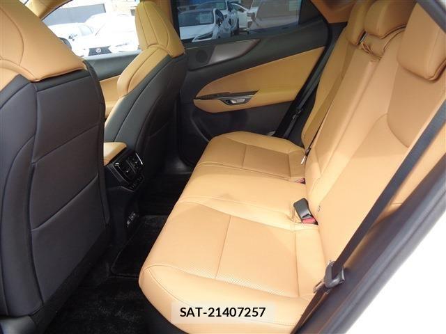 Lexus NX 2024-09 8525577-12
