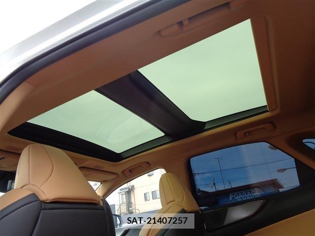Lexus NX 2024-09 8525577-13
