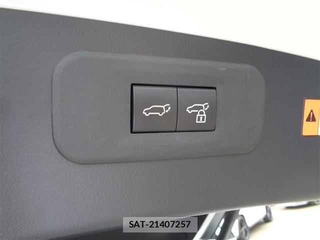 Lexus NX 2024-09 8525577-20