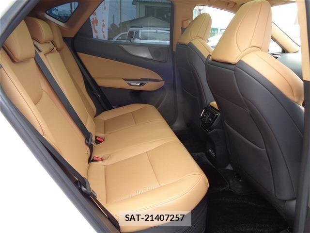 Lexus NX 2024-09 8525577-22