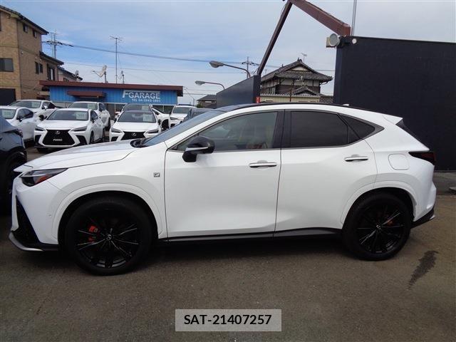 Lexus NX 2024-09 8525577-4
