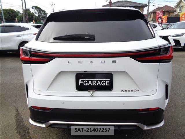 Lexus NX 2024-09 8525577-6