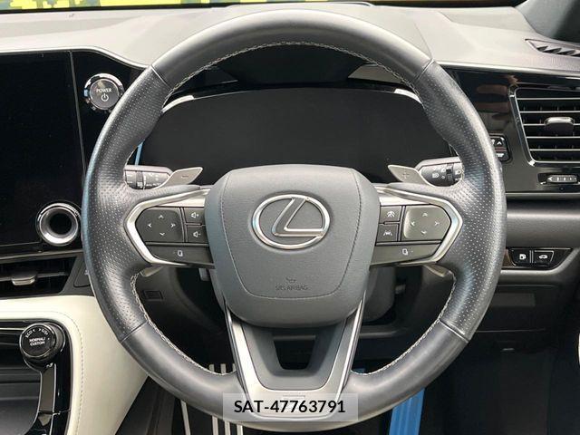Lexus NX 2023-04 8525579-10