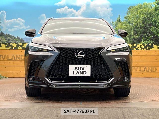 Lexus NX 2023-04 8525579-13