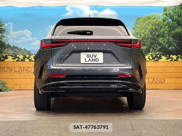 Lexus NX 2023-04 8525579-14