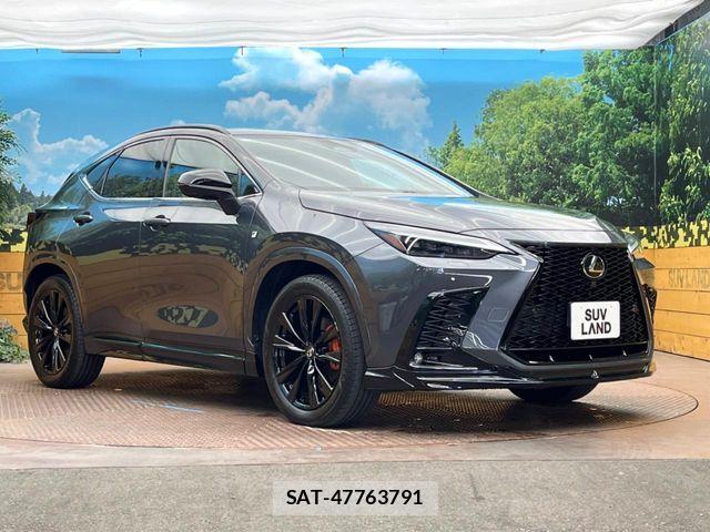 Lexus NX 2023-04 8525579-15