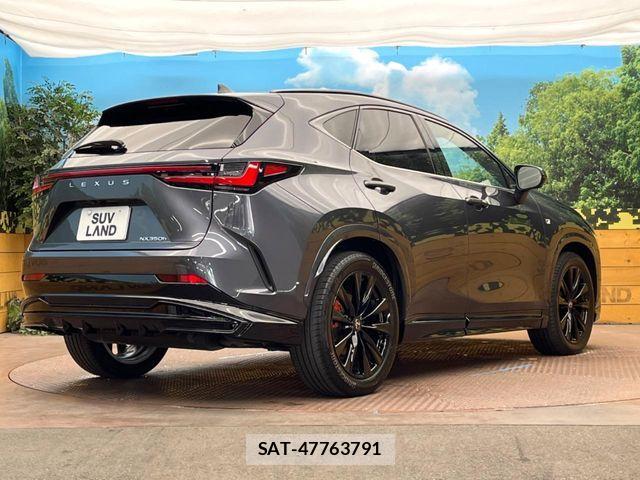 Lexus NX 2023-04 8525579-16