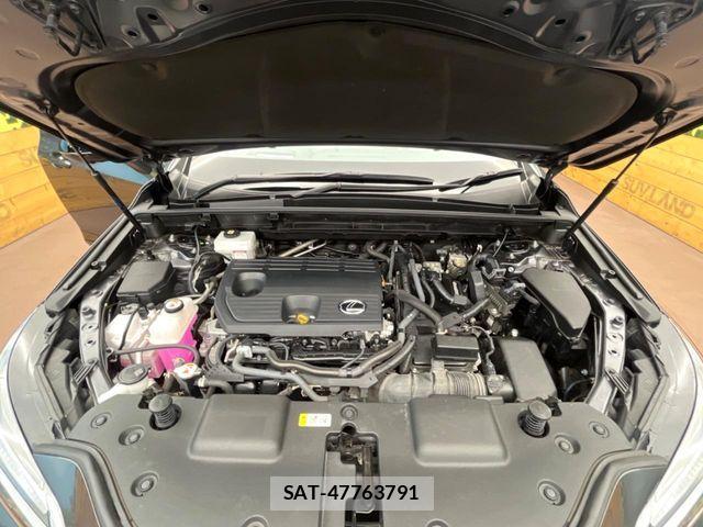 Lexus NX 2023-04 8525579-17