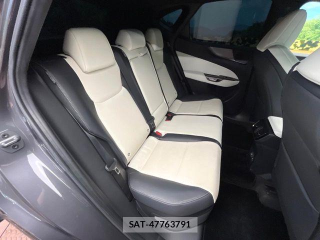 Lexus NX 2023-04 8525579-8