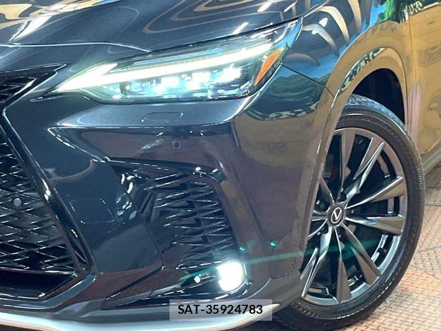 Lexus NX 2023-08 8525574-11