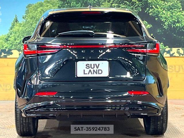 Lexus NX 2023-08 8525574-14