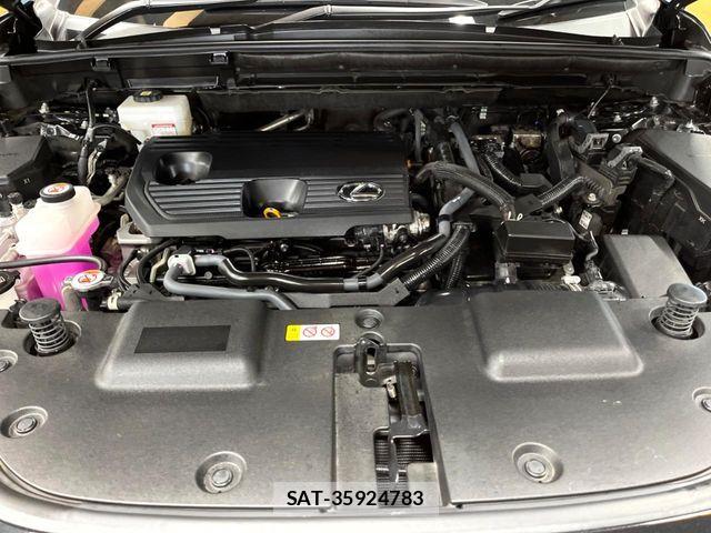 Lexus NX 2023-08 8525574-17