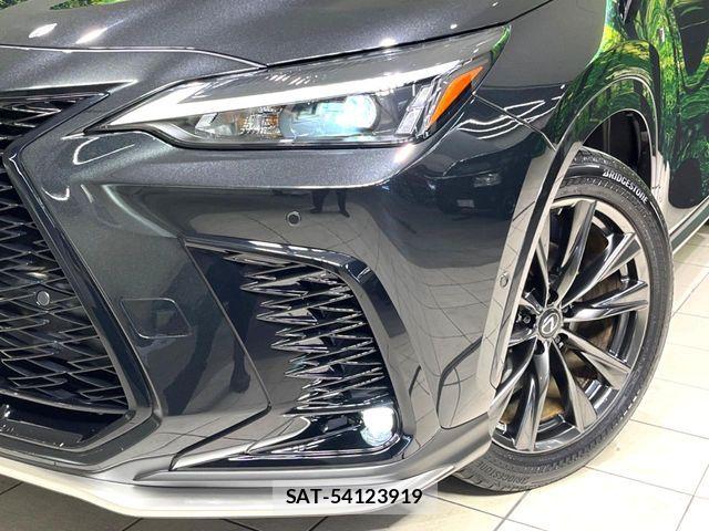 Lexus NX 2023-03 8525578-12