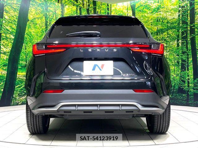 Lexus NX 2023-03 8525578-15