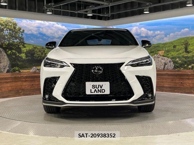 Lexus NX 2024-08 8525572-14