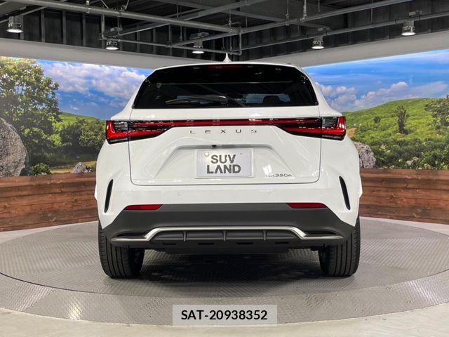 Lexus NX 2024-08 8525572-15