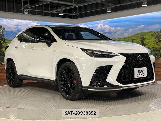 Lexus NX 2024-08 8525572-16