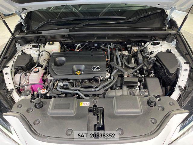 Lexus NX 2024-08 8525572-18