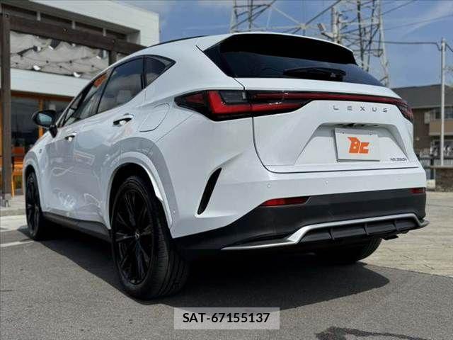 Lexus NX 2024-09 8525573-12