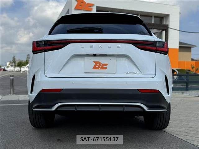 Lexus NX 2024-09 8525573-13