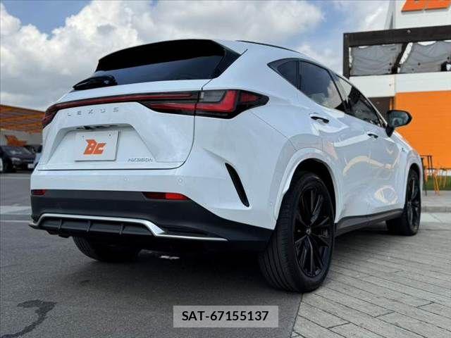 Lexus NX 2024-09 8525573-14
