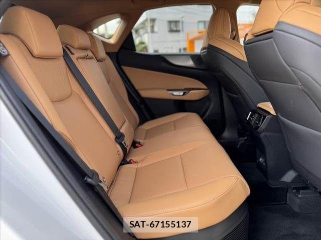 Lexus NX 2024-09 8525573-18