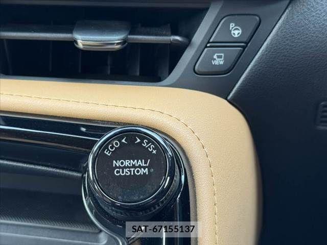 Lexus NX 2024-09 8525573-22