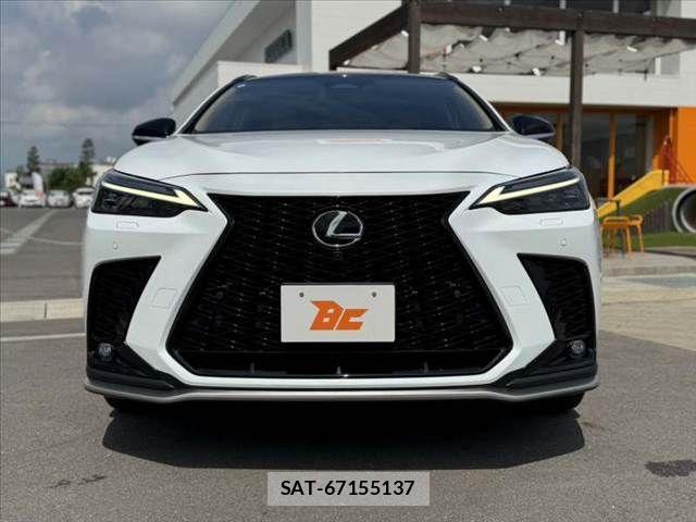 Lexus NX 2024-09 8525573-8