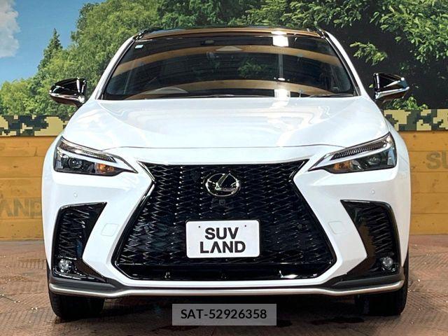 Lexus NX 2023-08 8525575-13