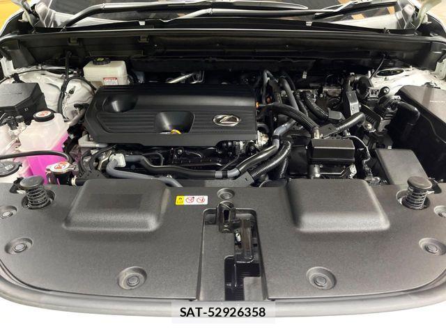 Lexus NX 2023-08 8525575-17
