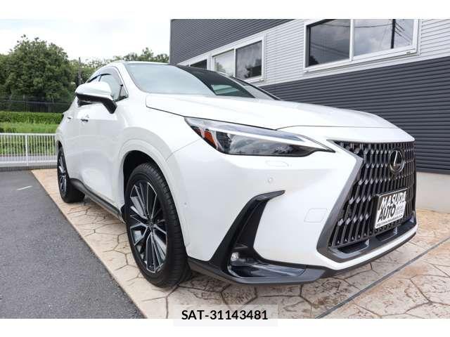 Lexus NX 2024-10 8562468-2