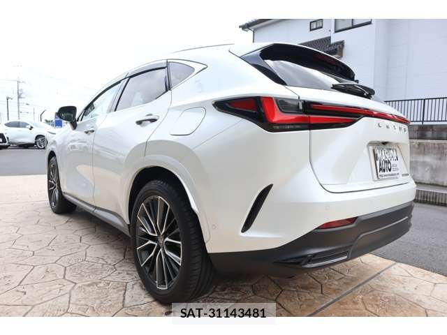 Lexus NX 2024-10 8562468-4