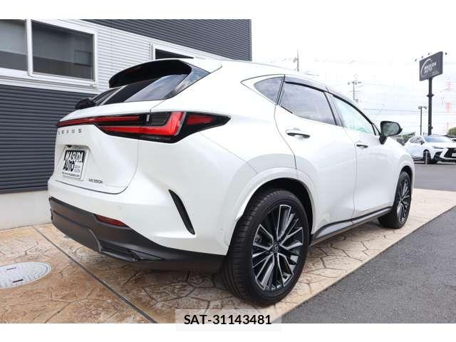 Lexus NX 2024-10 8562468-6