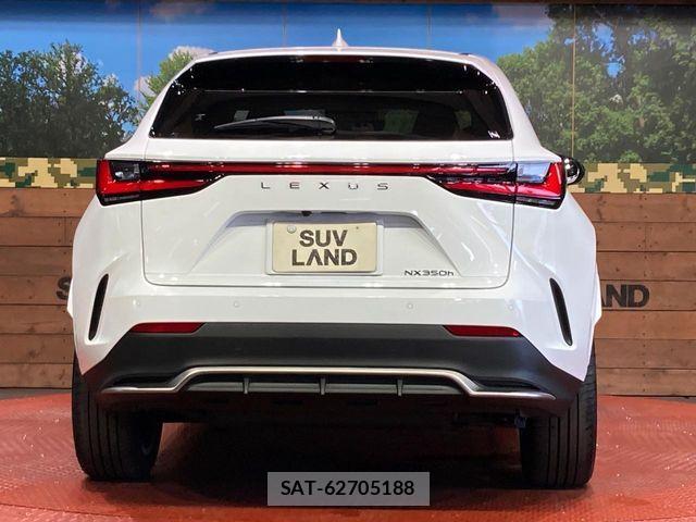Lexus NX 2025-02 8562461-14