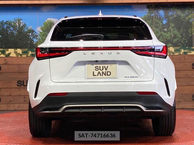 Lexus NX 2023-08 8562466-14