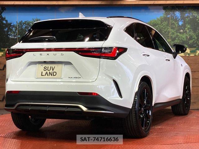 Lexus NX 2023-08 8562466-16