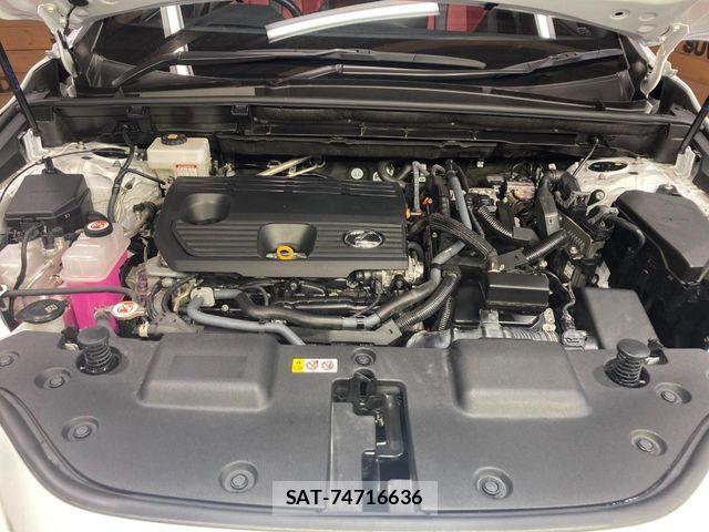 Lexus NX 2023-08 8562466-17