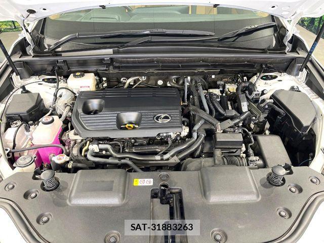 Lexus NX 2025-03 8627506-16