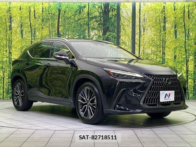 Lexus NX 2023-02 8659986-15