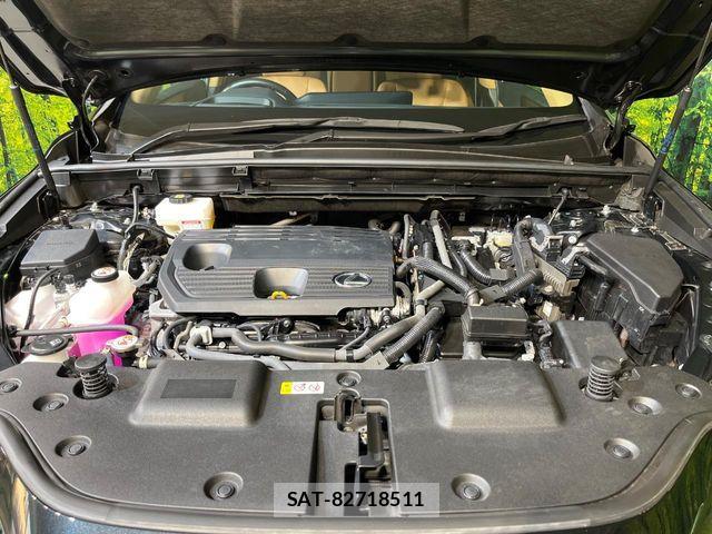 Lexus NX 2023-02 8659986-17