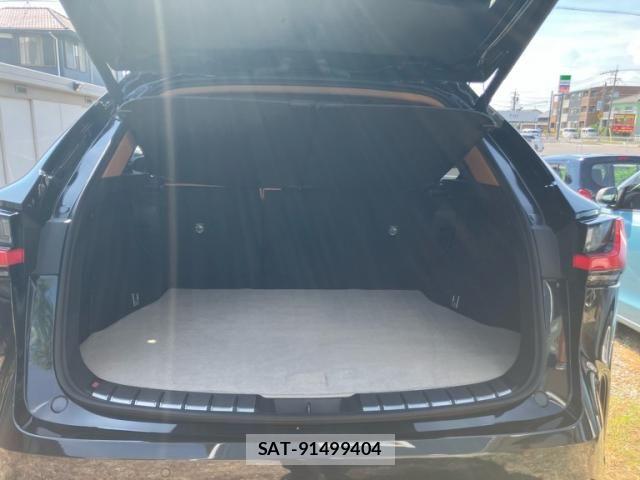 Lexus NX 2025-07 8659974-9