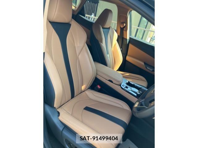 Lexus NX 2025-07 8659974-15